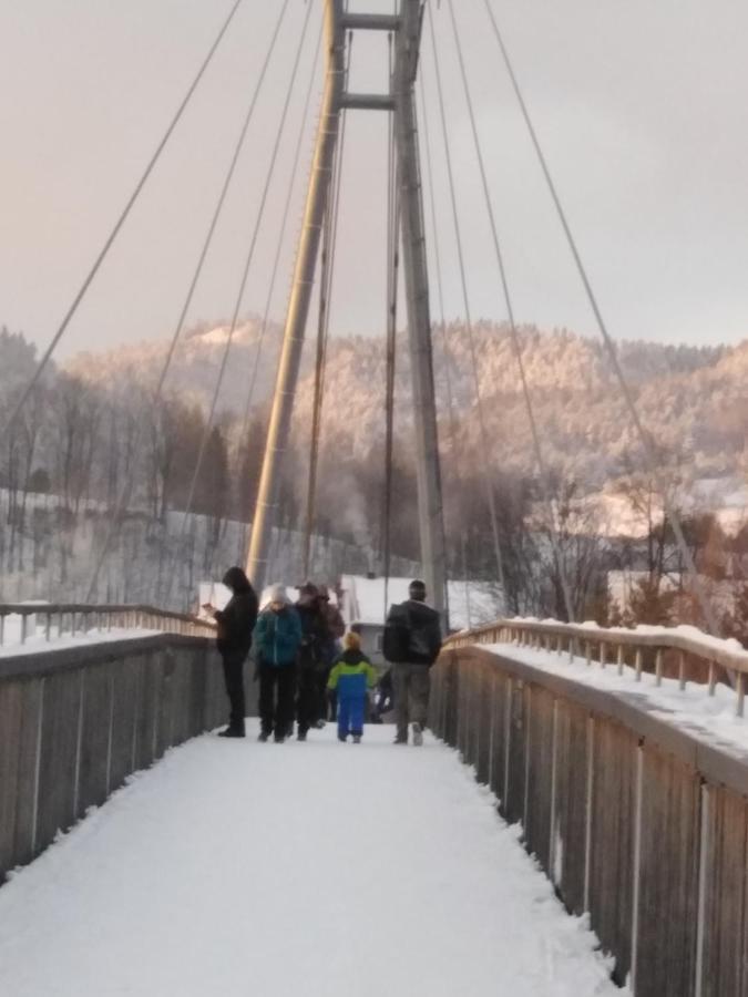 Chata Holica Pieniny Лесница Экстерьер фото