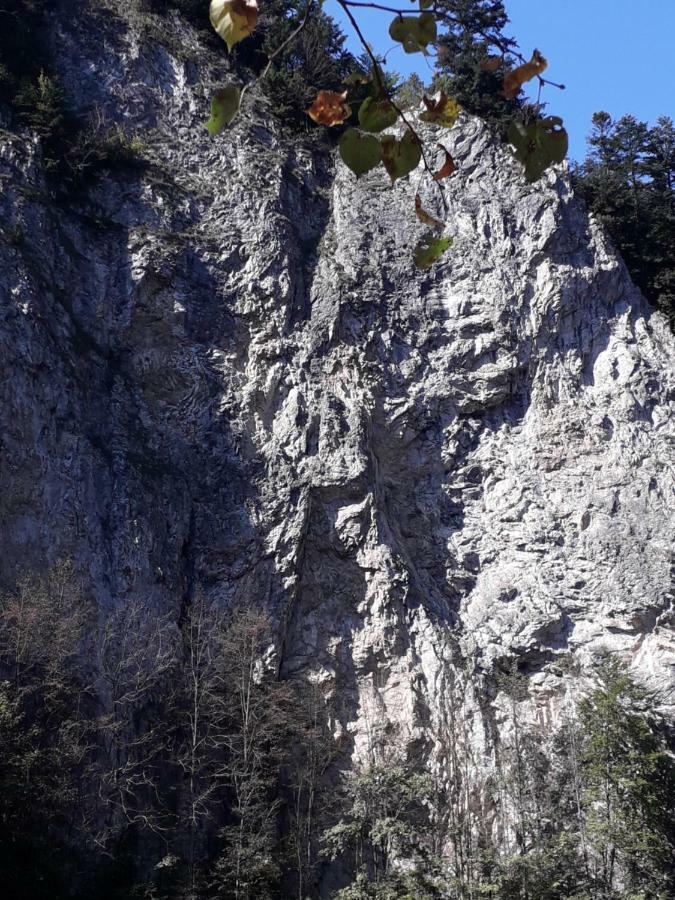 Chata Holica Pieniny Лесница Экстерьер фото