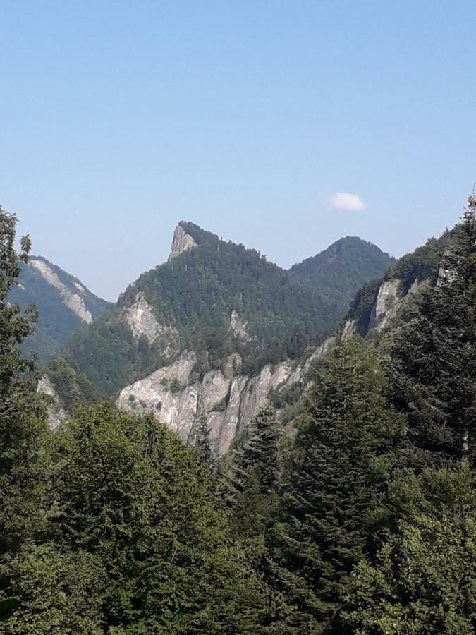 Chata Holica Pieniny Лесница Экстерьер фото