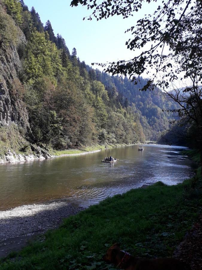 Chata Holica Pieniny Лесница Экстерьер фото
