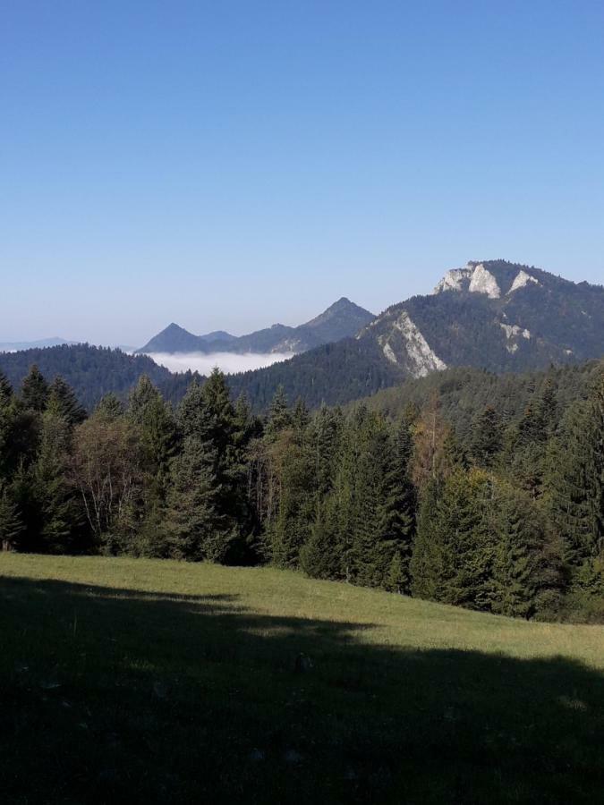Chata Holica Pieniny Лесница Экстерьер фото