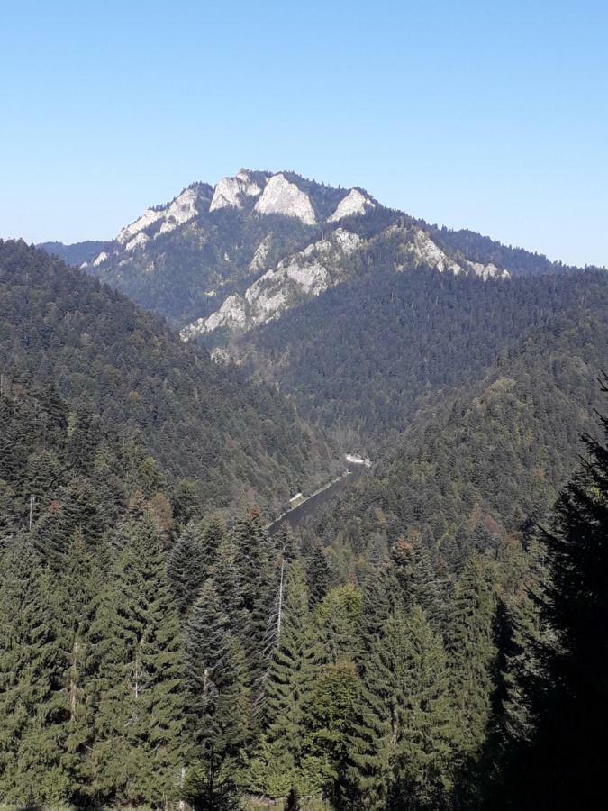 Chata Holica Pieniny Лесница Экстерьер фото