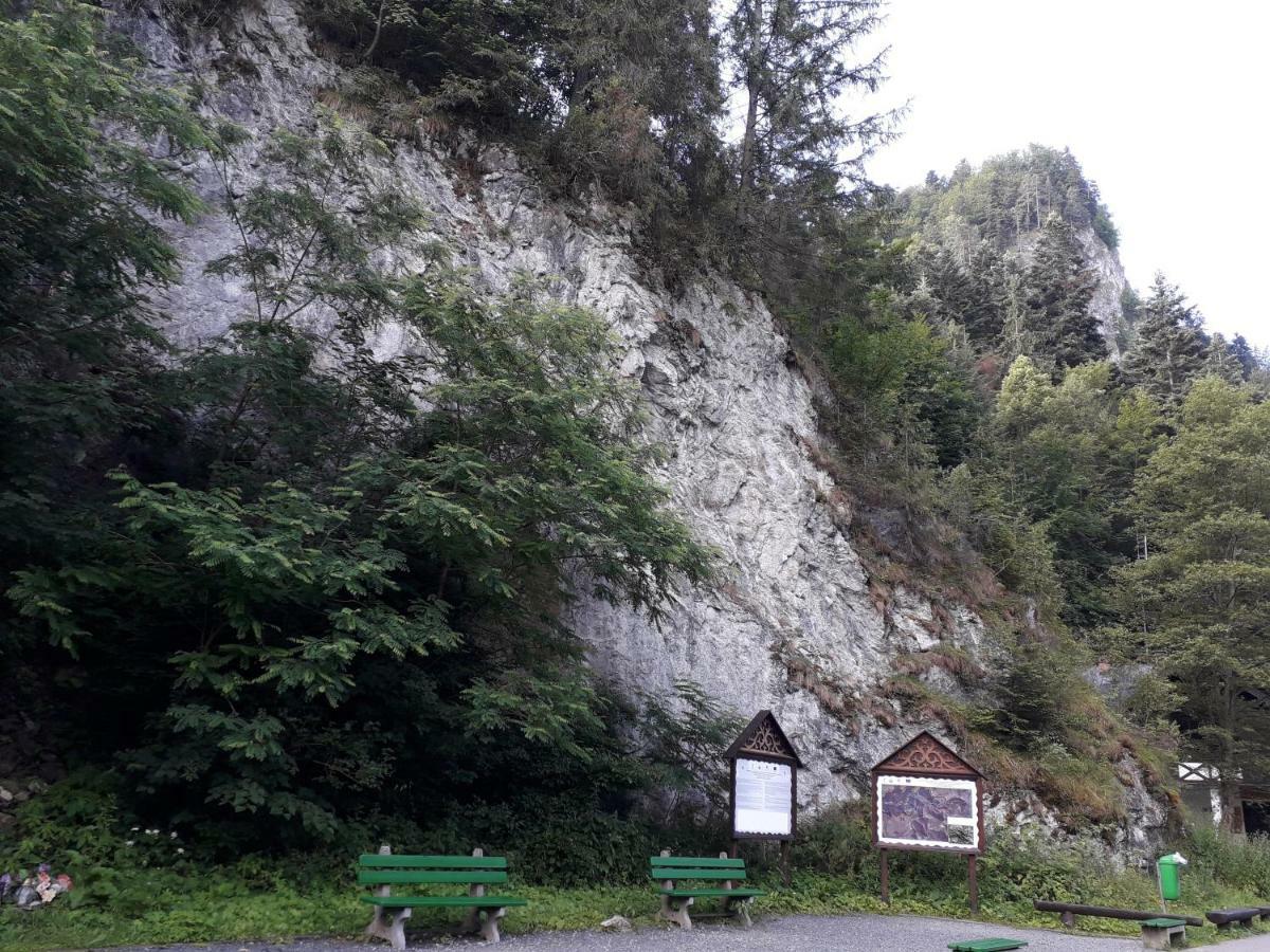 Chata Holica Pieniny Лесница Экстерьер фото