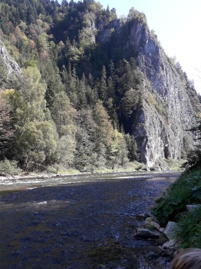 Chata Holica Pieniny Лесница Экстерьер фото